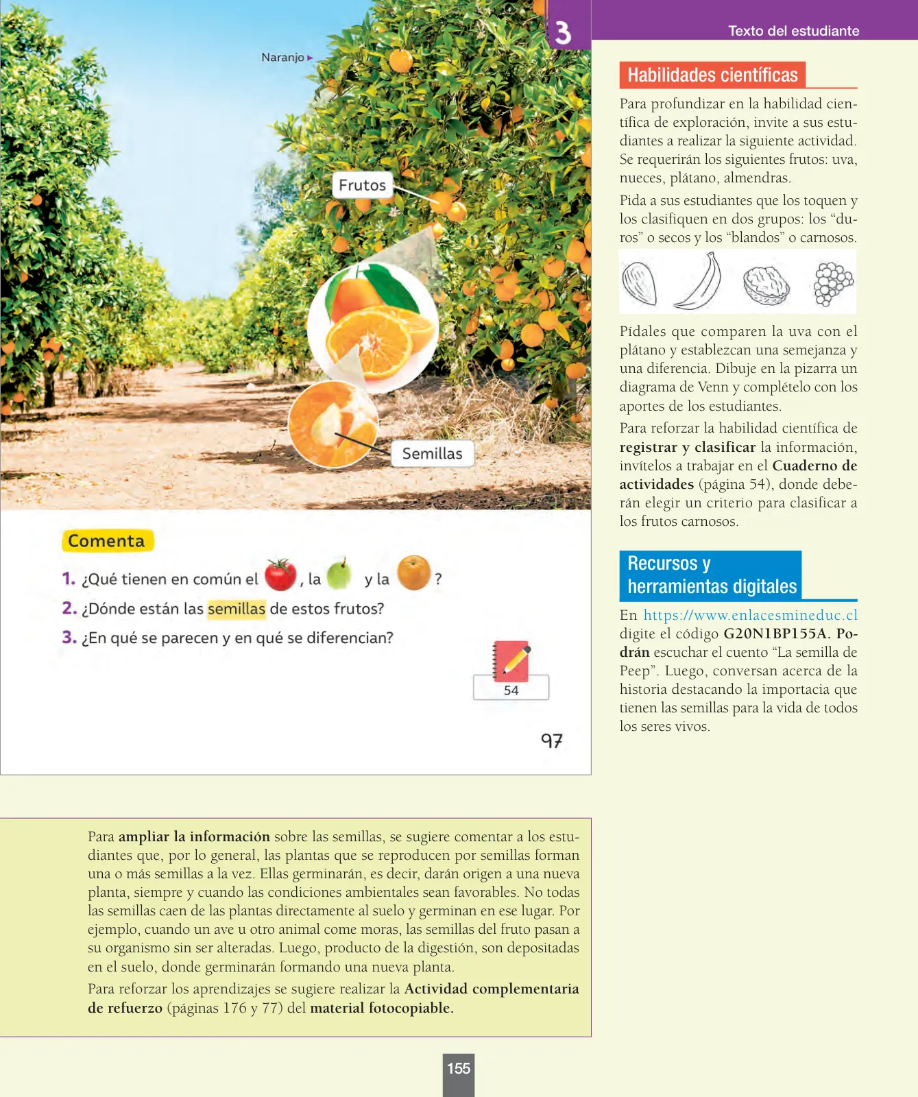 Miniatura página 156 de Ciencias Naturales – Primero Básico | Texto del Estudiante (MINEDUC) – Descargar PDF · 2024