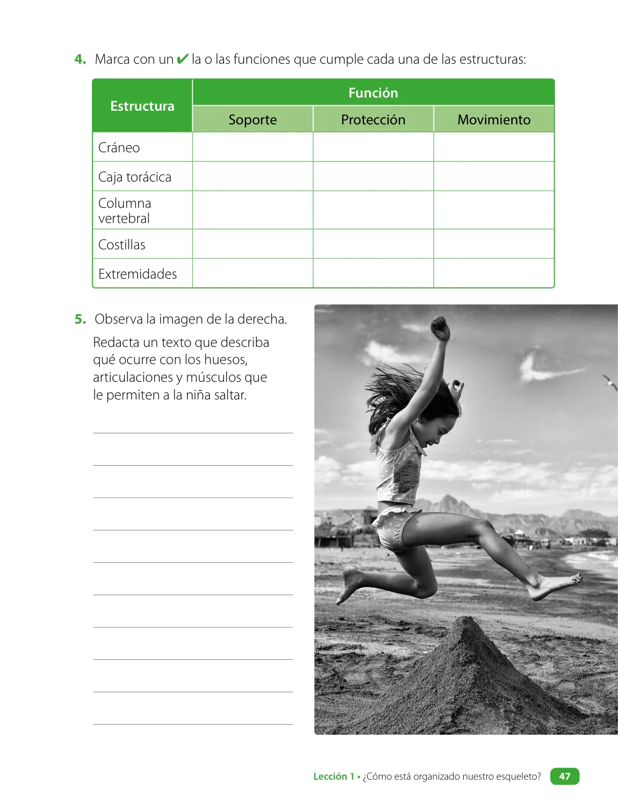 Página 49 de Ciencias Naturales – Cuarto Básico | Texto del Estudiante MINEDUC – Descargar PDF · 2024