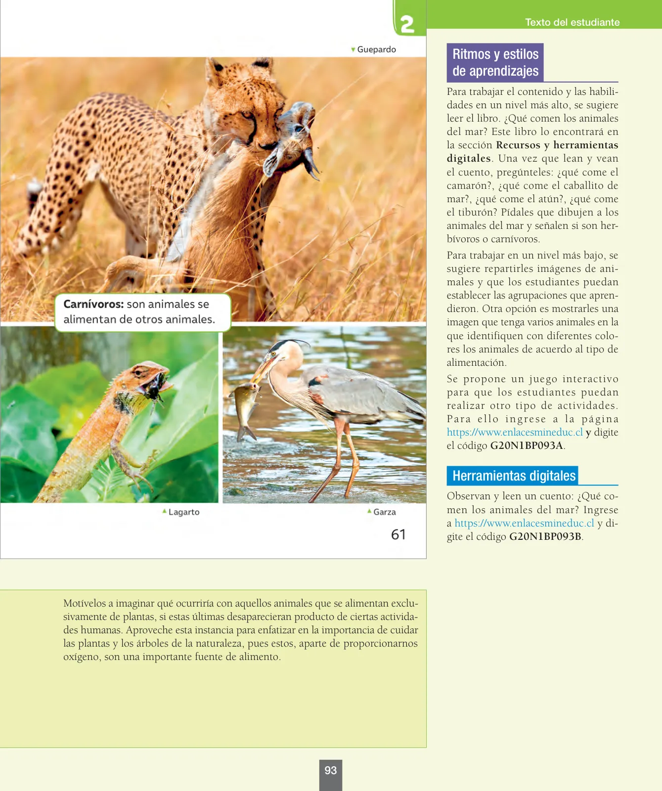 Miniatura página 94 de Ciencias Naturales – Primero Básico | Texto del Estudiante (MINEDUC) – Descargar PDF · 2024