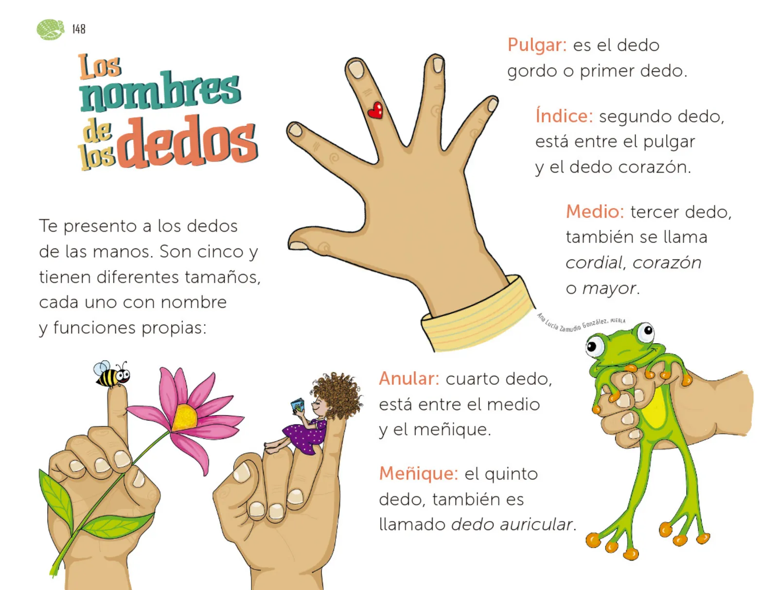 Miniatura página 149 de Múltiples lenguajes.   Libro de Educación Preescolar Grado 1°  Ciclo Escolar 2025 - 2026