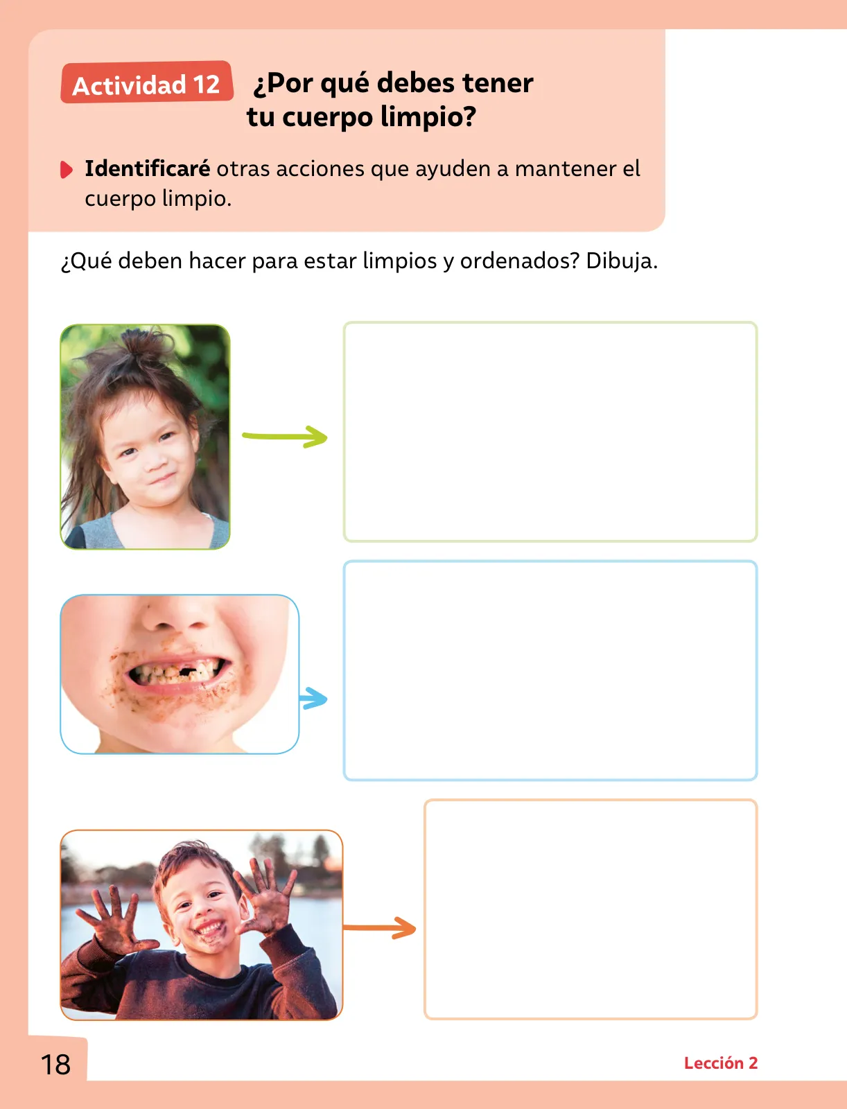 Página 19 de Ciencias Naturales – Primero Básico | Texto del Estudiante (MINEDUC) – Descargar PDF · 2024