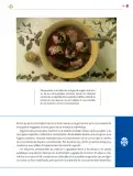 Miniatura página 102 de Colección Nanahuatzin. Lenguajes.   Libro de Educación Secundaria Grado 3°  Ciclo Escolar 2025 - 2026