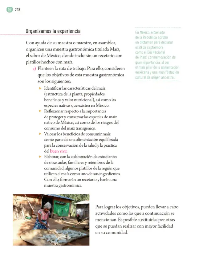 Página 251 de Proyectos Comunitarios. Libro de Educación Primaria Grado 5° Ciclo Escolar 2025 - 2026