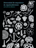 Miniatura página 154 de Colección Ximhai. Múltiples lenguajes.   Libro de Educación Secundaria Grado 1°  Ciclo Escolar 2025 - 2026