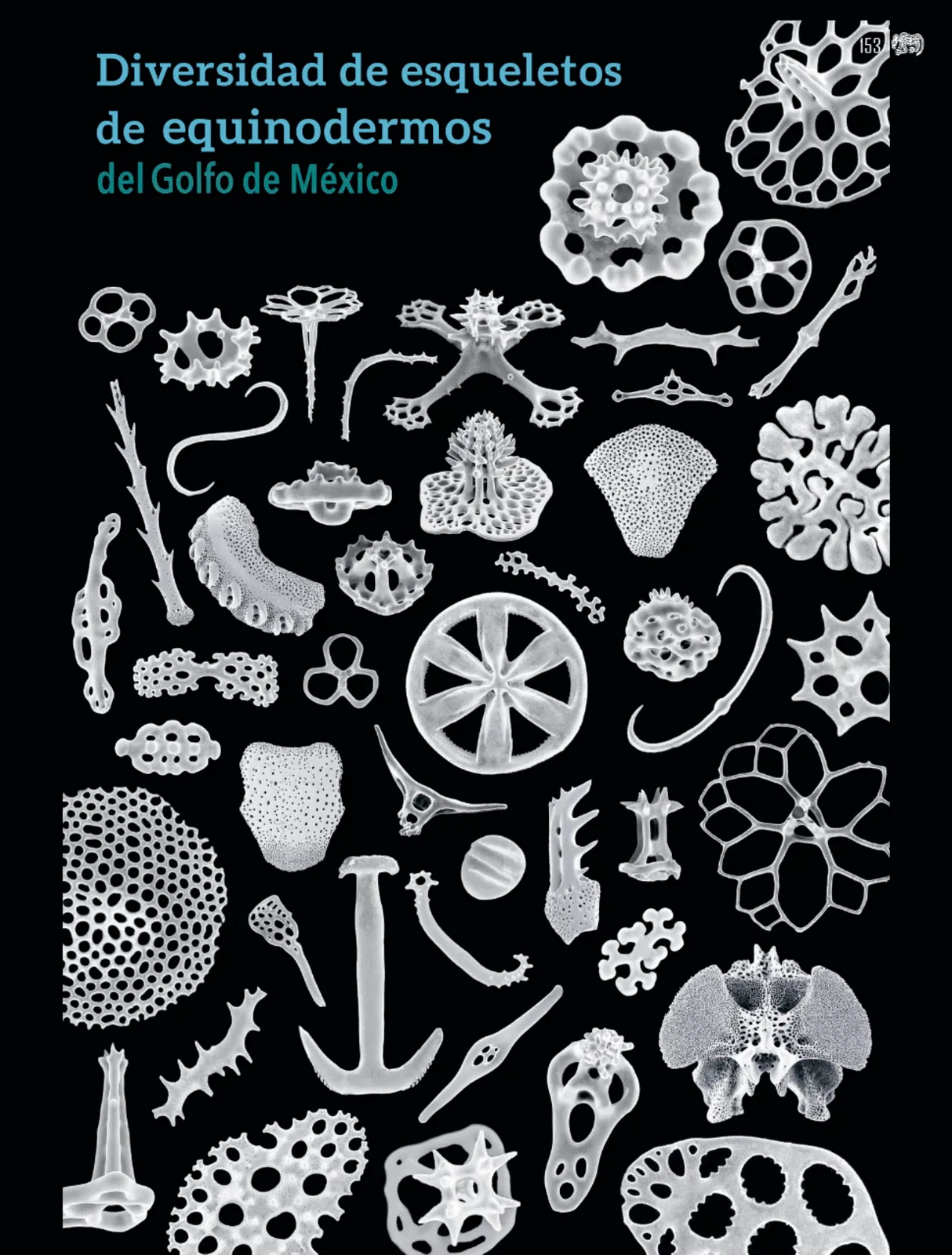 Miniatura página 154 de Colección Ximhai. Múltiples lenguajes.   Libro de Educación Secundaria Grado 1°  Ciclo Escolar 2025 - 2026