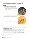 Miniatura página 172 de Libro de Ciencias Naturales – Quinto Básico | Texto del Estudiante MINEDUC – Descargar PDF · 2024