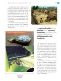 Miniatura página 56 de Nuestros saberes: México, grandeza y diversidad.   Libro de Educación Primaria Grado 4°  Ciclo Escolar 2025 - 2026