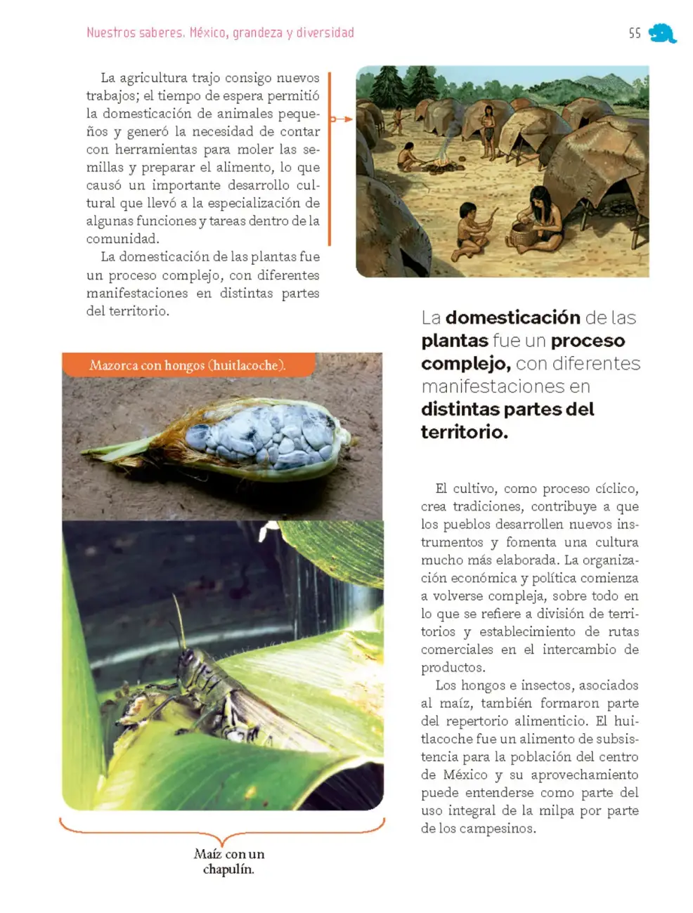 Página 56