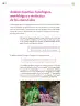 Miniatura página 123 de Colección Sk´asolil. Lenguajes.   Libro de Educación Secundaria Grado 2°  Ciclo Escolar 2025 - 2026