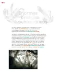 Miniatura página 47 de Colección Sk´asolil. Múltiples lenguajes.   Libro de Educación Secundaria Grado 2°  Ciclo Escolar 2025 - 2026