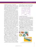 Miniatura página 93 de Ciencias Naturales 8° · Secundaria Activa