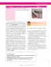 Miniatura página 59 de Ciencias Naturales 7° · Secundaria Activa