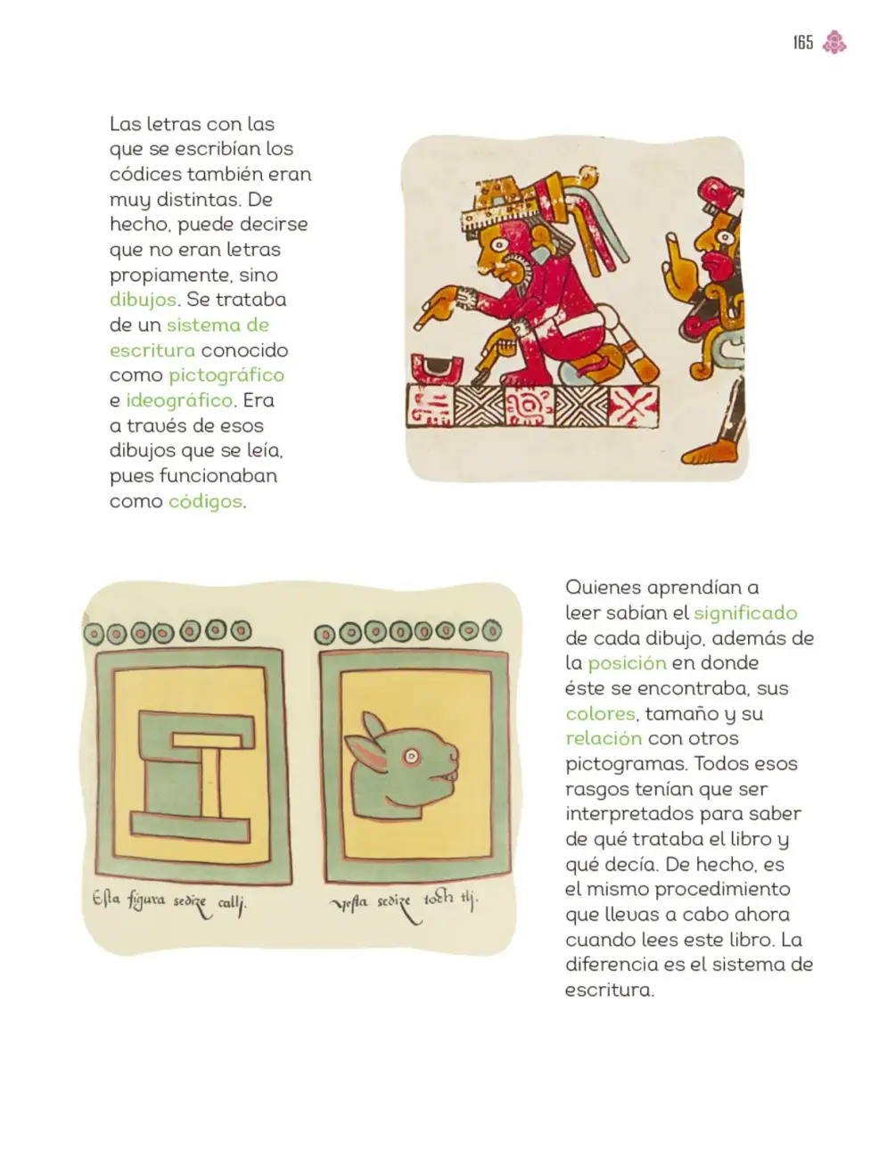 Página 166