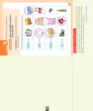 Miniatura página 43 de Ciencias Naturales – Primero Básico | Texto del Estudiante (MINEDUC) – Descargar PDF · 2024