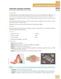 Miniatura página 243 de Matematica 8° · Egb 8 Matematica 2025 · 2025