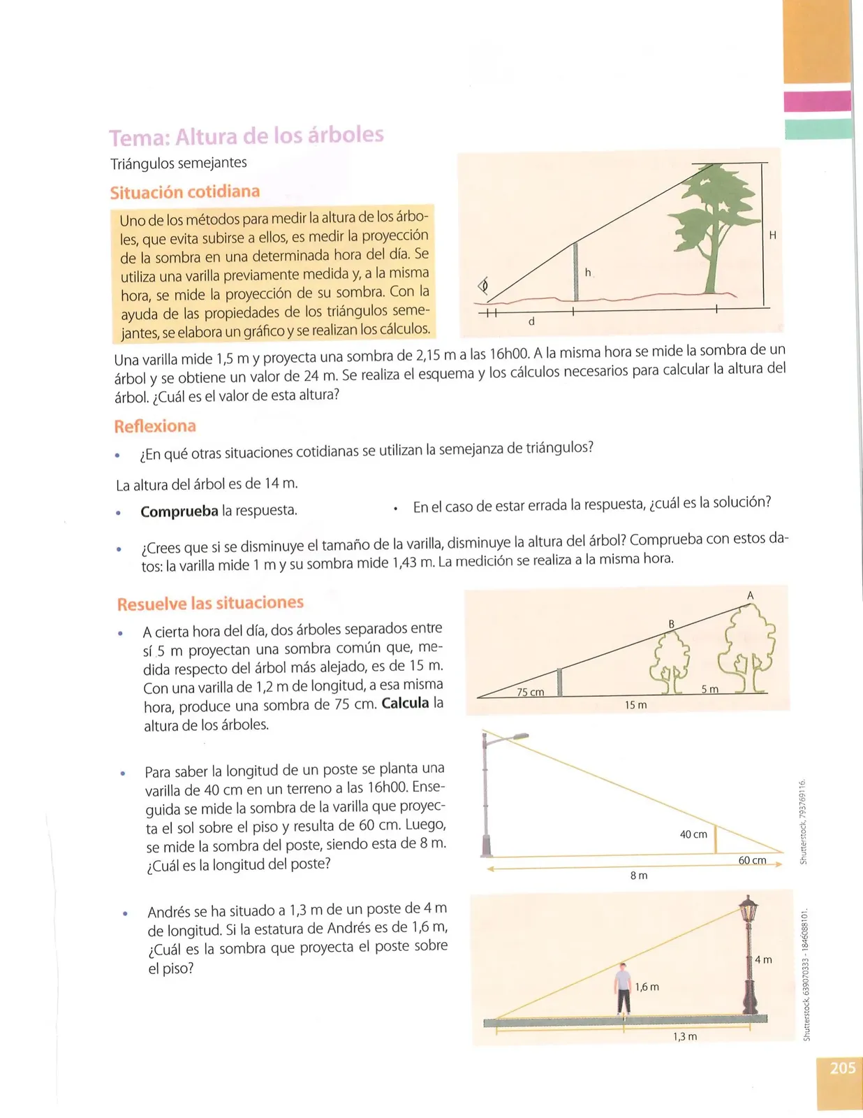 Página 205 de Matematica · 10 EGB · 2025