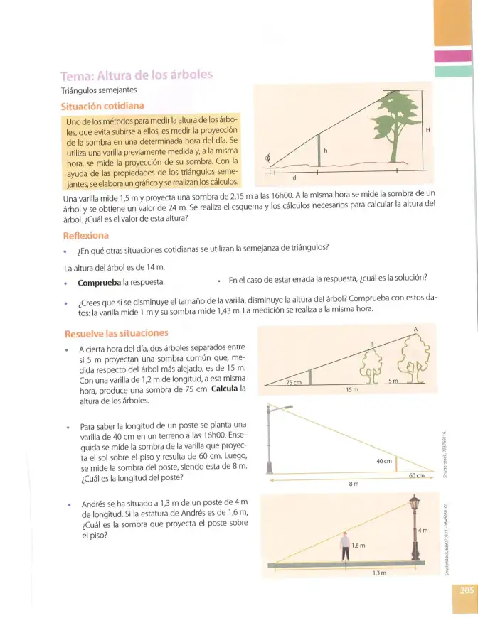 Página 205 de Matematica 10° · Egb 10 Matematica 2025 · 2025