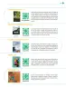 Miniatura página 282 de Colección Sk´asolil. Nuestro libro de Proyectos.  Tomo III.  Libro de Educación Telesecundaria Grado 2°  Ciclo Escolar 2025 - 2026