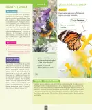 Miniatura página 85 de Ciencias Naturales – Segundo Básico | Texto del Estudiante MINEDUC – Descargar PDF · 2024