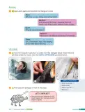 Miniatura página 19 de Inglés – Séptimo Básico | Student’s Book MINEDUC – Descargar PDF · 2024