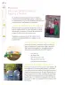 Miniatura página 17 de Nuestros saberes: Libro para alumnos, maestros y familia.   Libro de Educación Primaria Grado 3°  Ciclo Escolar 2025 - 2026