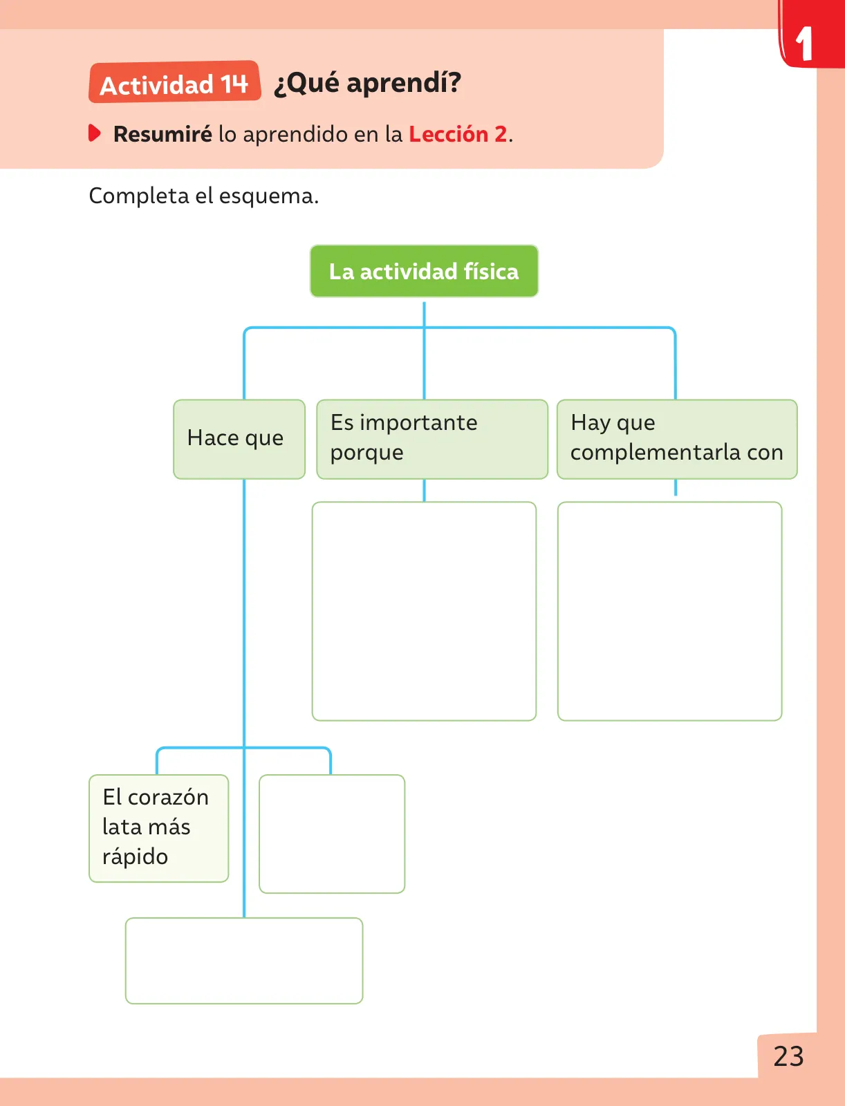 Miniatura página 24 de Ciencias Naturales – Segundo Básico | Texto del Estudiante MINEDUC – Descargar PDF · 2024