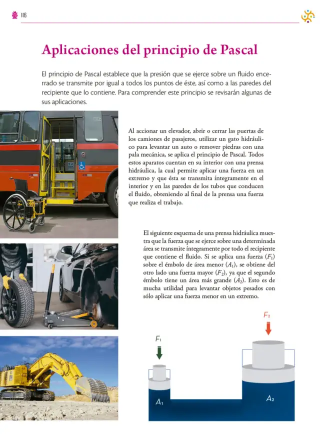 Página 117 de Colección Sk´asolil. Saberes y pensamiento científico. Libro de Educación Secundaria Grado 2° Ciclo Escolar 2025 - 2026