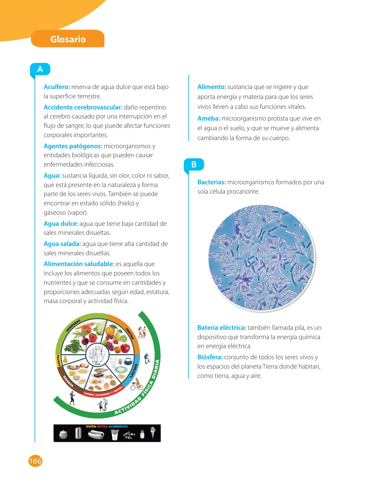 Página 188 de Libro de Ciencias Naturales – Quinto Básico | Texto del Estudiante MINEDUC – Descargar PDF · 2024