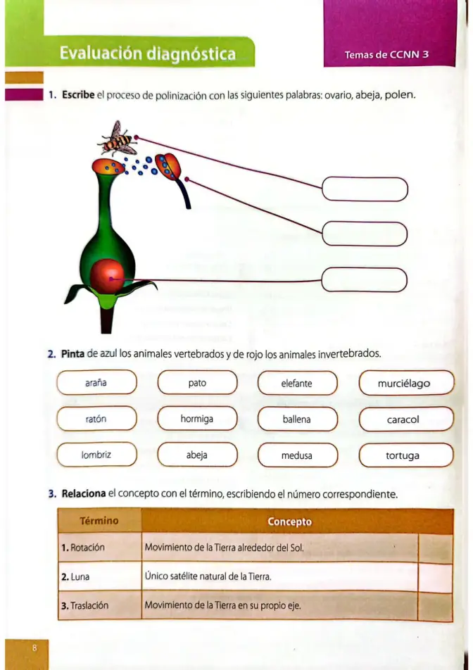 Página 5 de Ciencias Naturales 4° · Egb 4 Ciencias Naturales 2025 · 2025