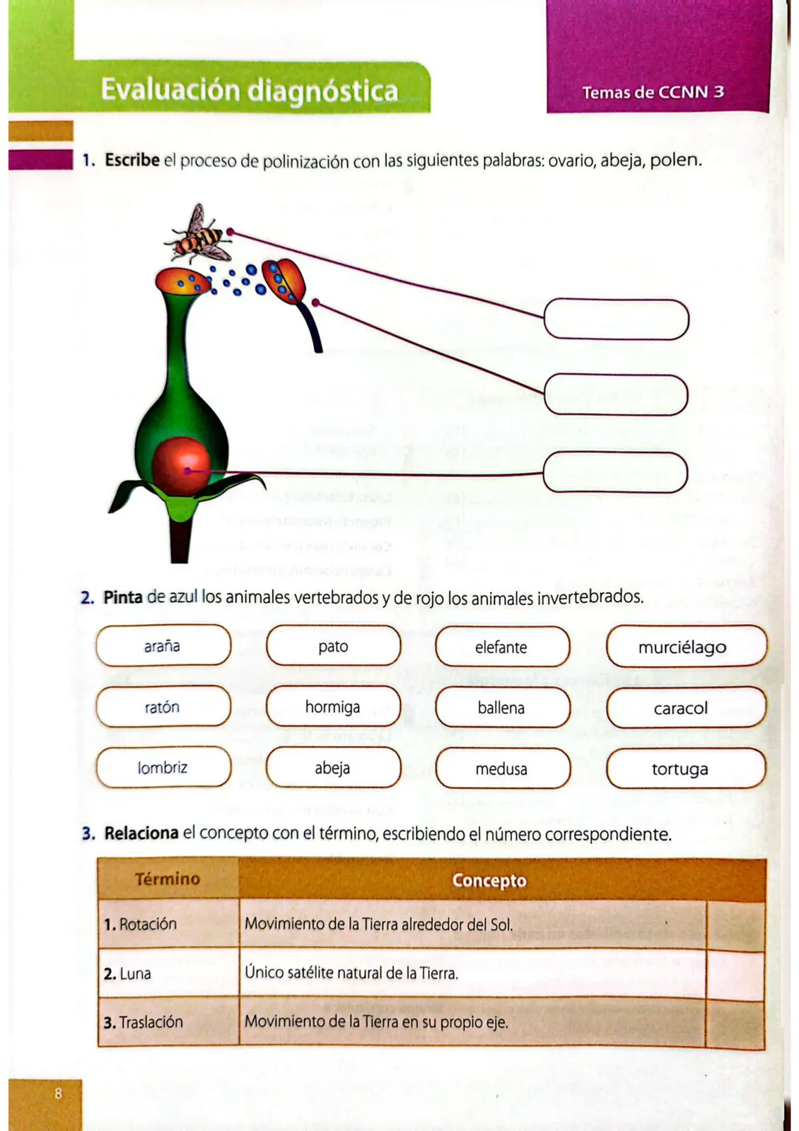 Miniatura página 5 de Ciencias Naturales · 4 EGB · 2025