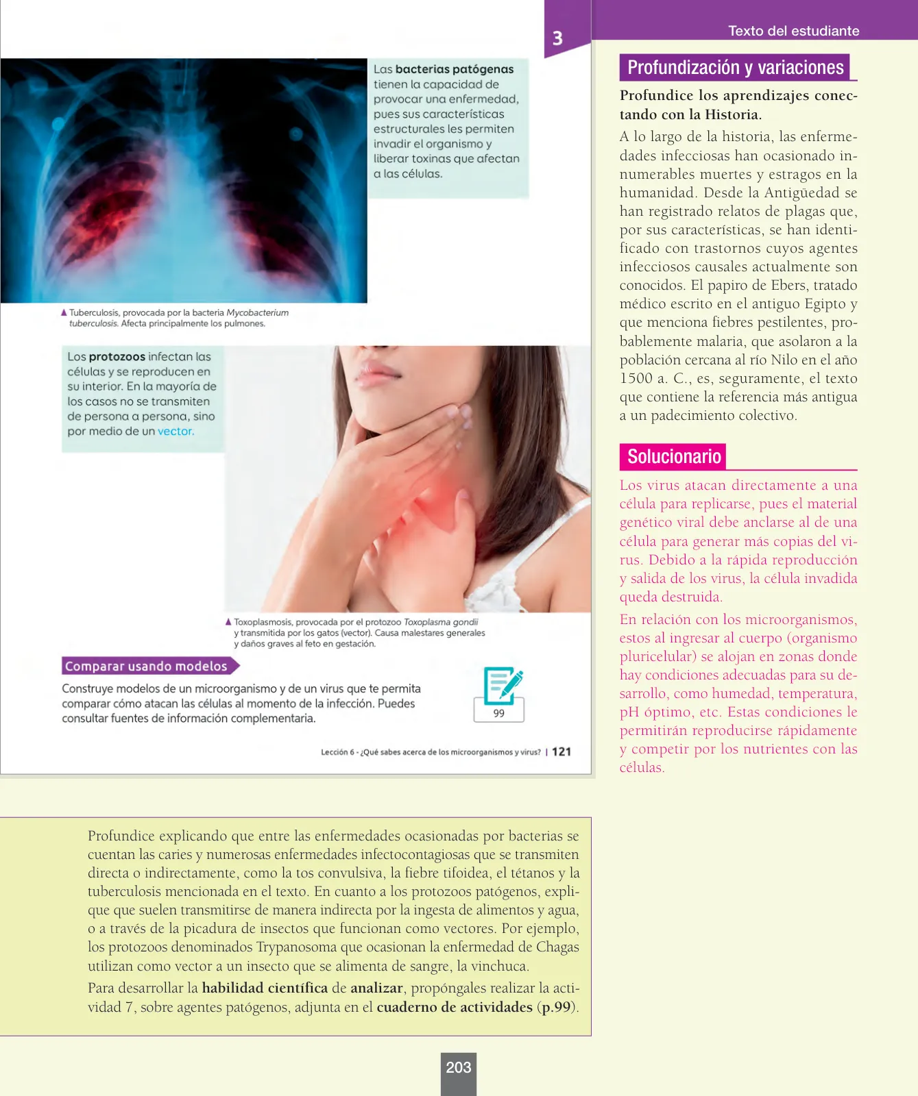 Miniatura página 28 de Ciencias Naturales – Séptimo Básico | Texto del Estudiante MINEDUC – Descargar PDF · 2024