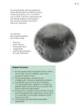Miniatura página 212 de Múltiples lenguajes.   Libro de Educación Primaria Grado 5°  Ciclo Escolar 2025 - 2026