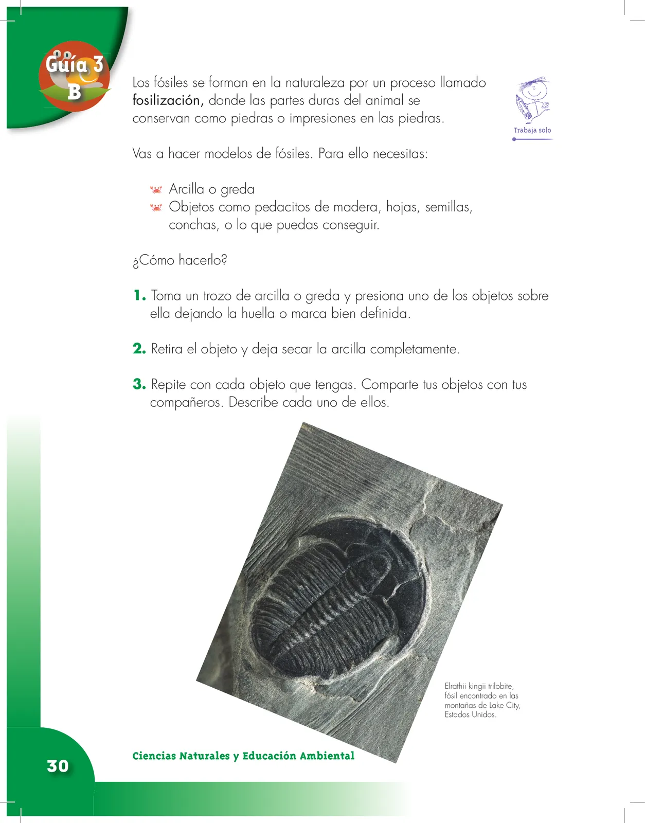 Miniatura página 30 de Ciencias Naturales 3° · Cartilla 01