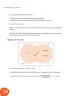 Miniatura página 155 de Matematica 9° · Postprimaria