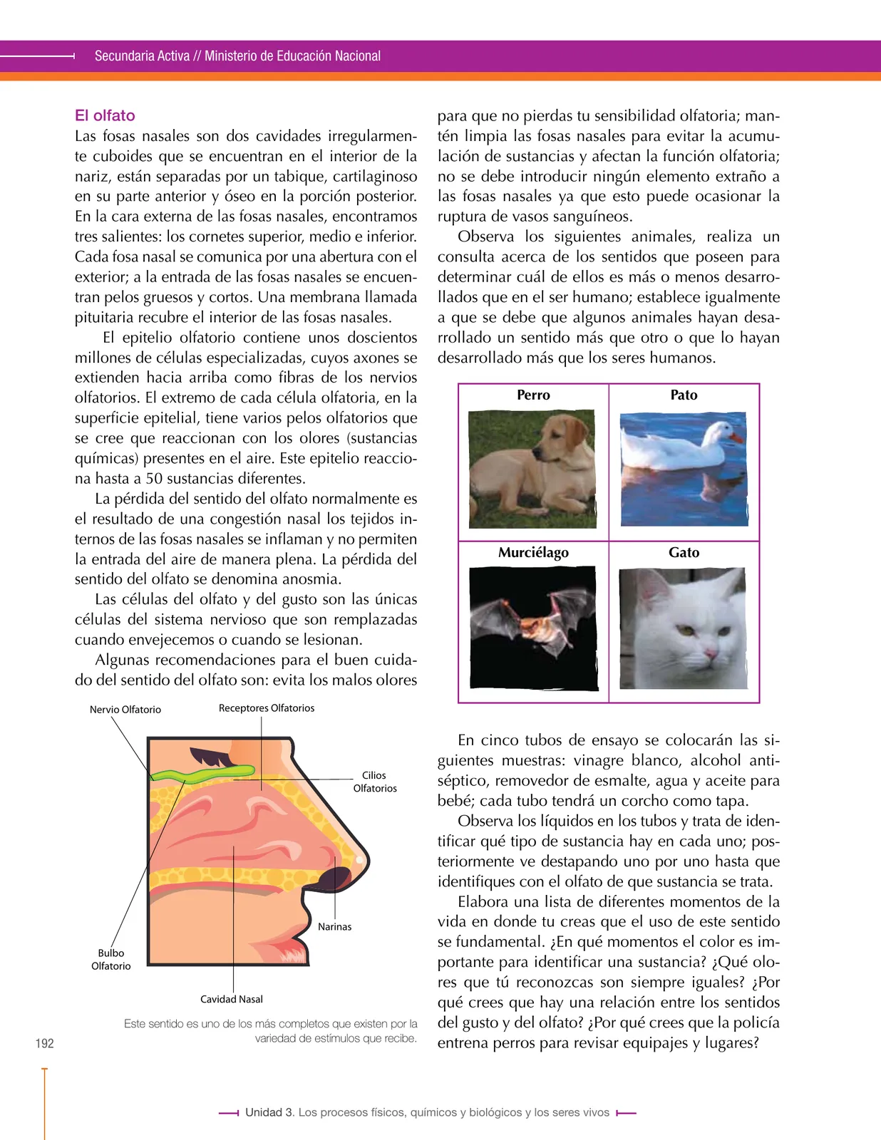 Miniatura página 192 de Ciencias Naturales 8° · Secundaria Activa