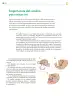 Miniatura página 255 de Colección Ximhai. Saberes y pensamiento científico.   Libro de Educación Telesecundaria Grado 1°  Ciclo Escolar 2025 - 2026