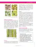 Miniatura página 29 de Ciencias Naturales 7° · Secundaria Activa