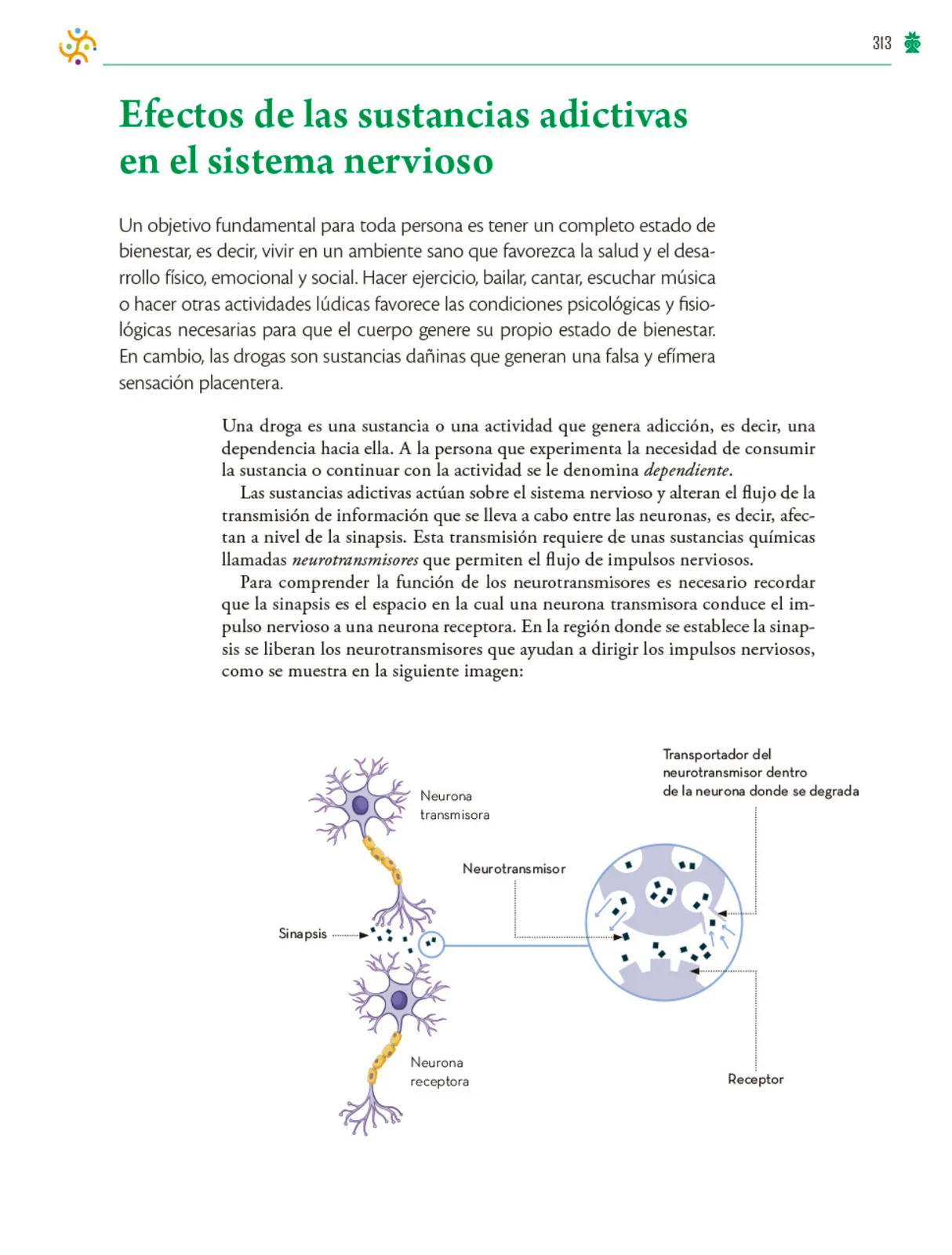 Miniatura página 314 de Colección Ximhai. Saberes y pensamiento científico.   Libro de Educación Telesecundaria Grado 1°  Ciclo Escolar 2025 - 2026