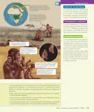 Miniatura página 20 de Historia, Geografía y Ciencias Sociales – Séptimo Básico | Texto del Estudiante MINEDUC – Descargar PDF · 2024