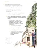Miniatura página 58 de Proyectos de Aula.   Libro de Educación Primaria Grado 3°  Ciclo Escolar 2025 - 2026