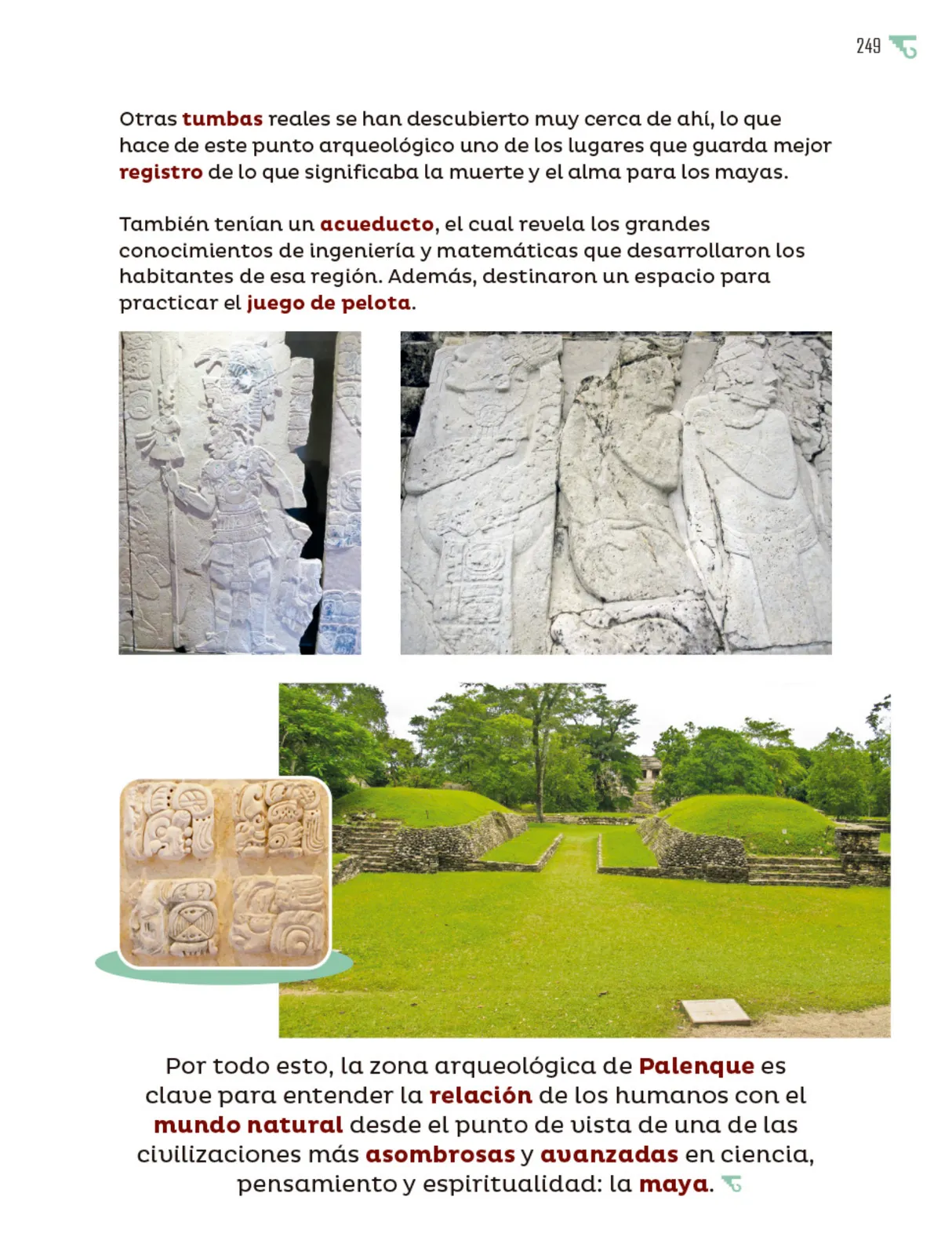 Miniatura página 250 de Múltiples lenguajes.   Libro de Educación Primaria Grado 5°  Ciclo Escolar 2025 - 2026
