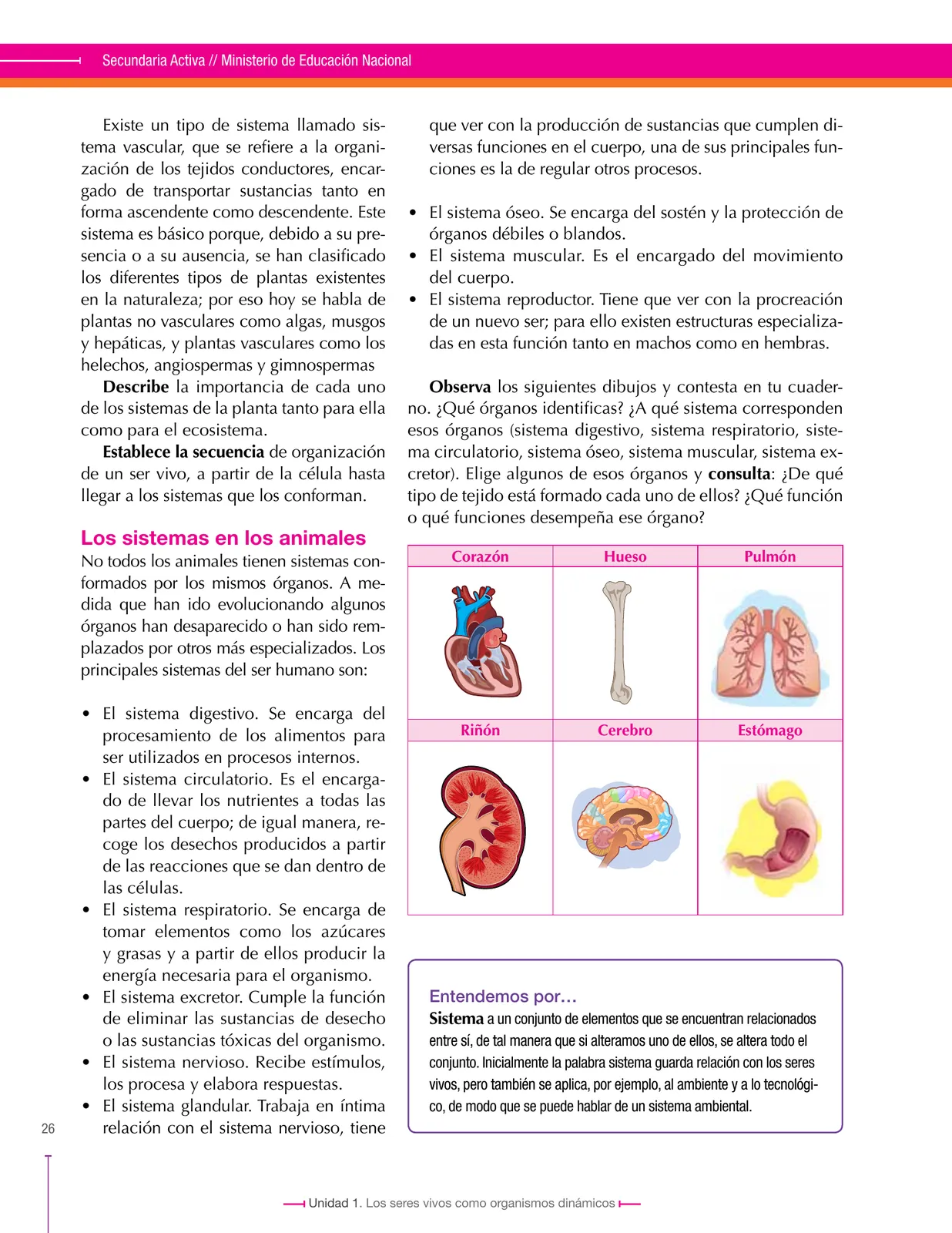 Miniatura página 26 de Ciencias Naturales 8° · Secundaria Activa