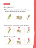 Miniatura página 38 de Lenguaje y Comunicación – Primero Básico | Texto del Estudiante MINEDUC – Descargar PDF · 2024