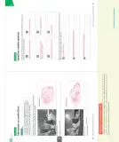 Miniatura página 62 de Ciencias Naturales – Séptimo Básico | Texto del Estudiante MINEDUC – Descargar PDF · 2024