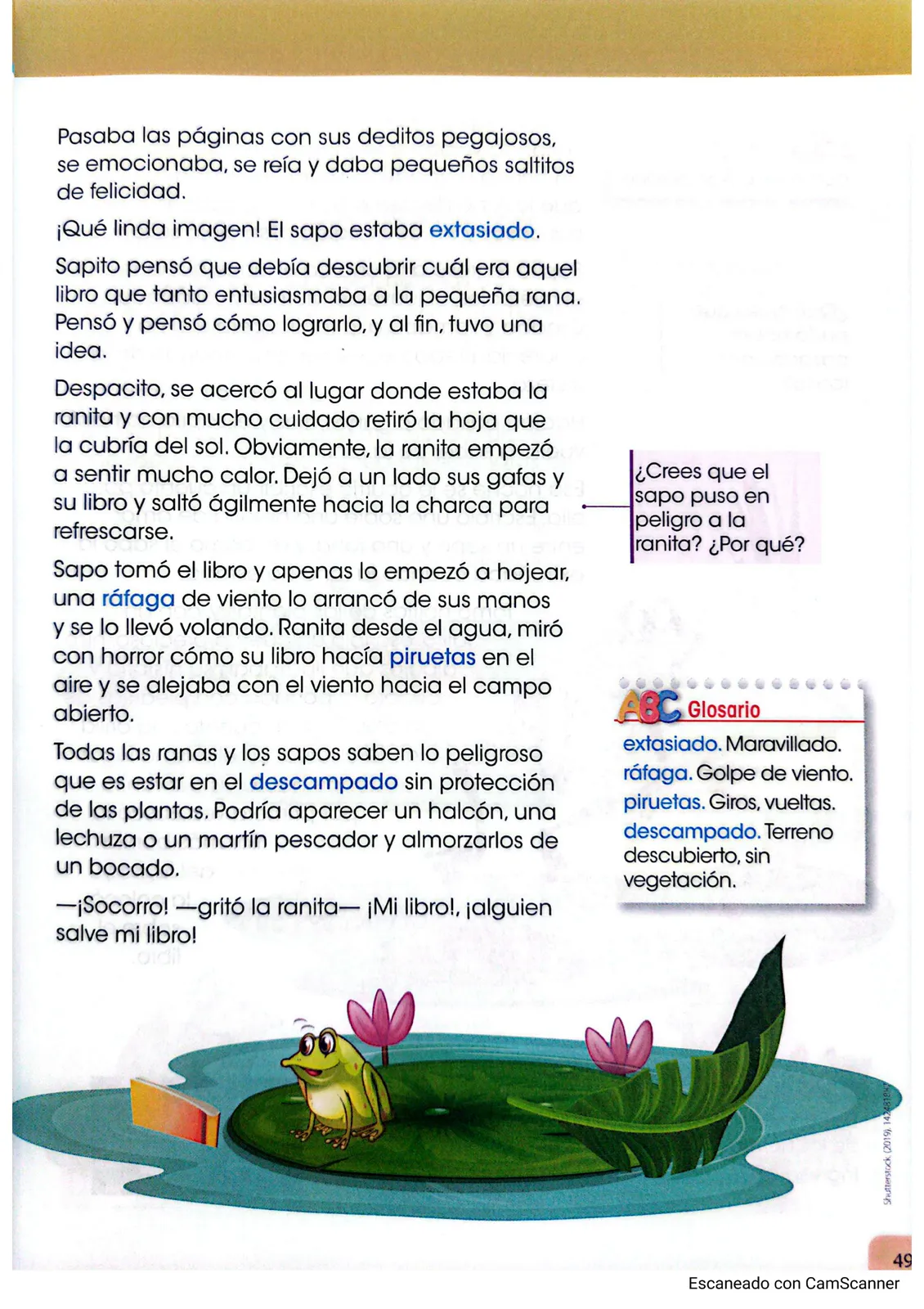 Pág 43