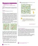 Miniatura página 118 de Sumo Primero – Cuarto Básico | Texto del Estudiante MINEDUC – Descargar PDF · 2024