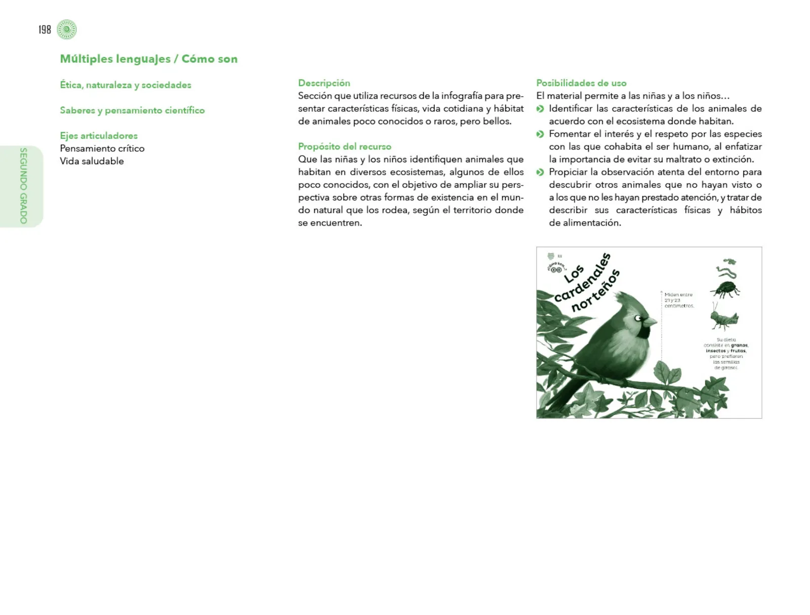 Miniatura página 199 de Posibilidades de trabajo para la acción transformadora y el codiseño. Ficheros. Fase 2  Libro de Educación Preescolar Grado 1°, 2°, 3°  Ciclo Escolar 2025 - 2026