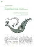 Miniatura página 15 de Crianza para la libertad. Libro para las familias. Fase 2  Libro de Educación Preescolar Grado 1°, 2°, 3°  Ciclo Escolar 2025 - 2026