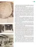 Miniatura página 36 de Colección Ximhai. Múltiples lenguajes.   Libro de Educación Telesecundaria Grado 1°  Ciclo Escolar 2025 - 2026