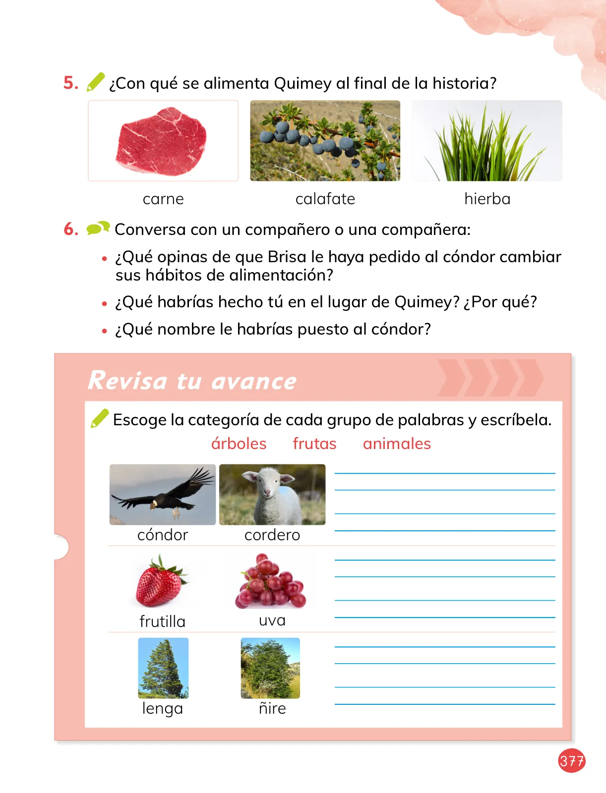 Miniatura página 107 de Lenguaje y Comunicación – Primero Básico | Texto del Estudiante MINEDUC – Descargar PDF · 2024